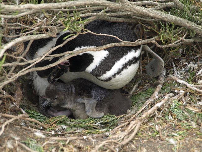 ../../Pictures/231209/075 Cabo Virgines.JPG